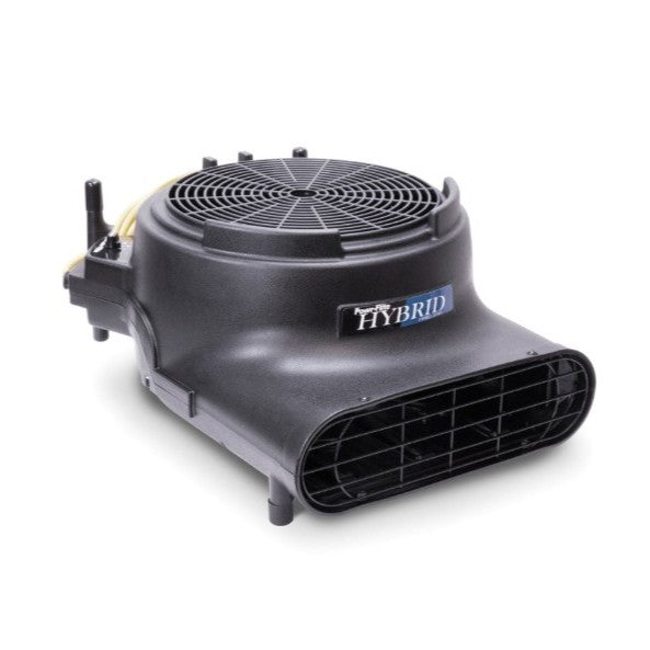Extractors & Carpet Care